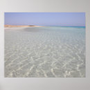 Search for from all posters Horizontal