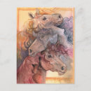 Search for barn animals postcards Horses