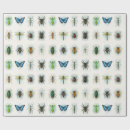 Recherche de insecte papier cadeau Scarabée