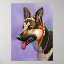 Recherche de bergère posters Chien