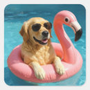 Search for floating stickers Dog