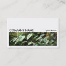 Search for botanicals photocards Modern