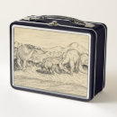 Search for dinosaur lunch boxes Jurassic