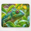 Recherche de lézards tapis souris Caméléon