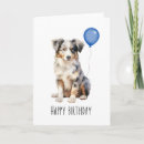 Search for australian shepherd cards Blue merle