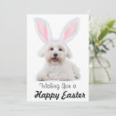 Search for funny dog easter cards Cute