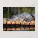 Search for park spring postcards Wildlife