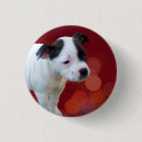 Search for black bull buttons Puppy