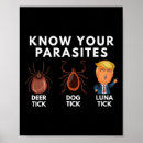 Search for donald trump posters Usa