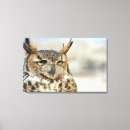 Search for animals in captivity posters Outdoors