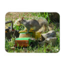 Recherche de camion magnets Pour elle