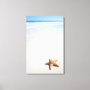 Search for high angle view canvas prints Close up
