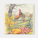 Search for turkeys magnets Thanksgiving