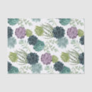 Search for succulent tissue paper Plant