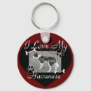 Search for havanese keychains Pets