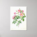 Search for 21st canvas prints Pierre