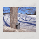 Recherche de seau cartes postales Pour tous