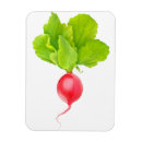 Recherche de radiateur magnets Radis