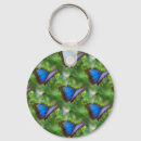 Search for blue morpho keychains Pattern