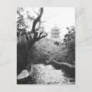 Search for danang White