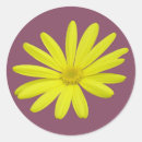 Search for yellow daisy stickers Garden