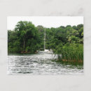 Search for panama postcards Nature