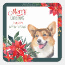 Search for welsh corgi stickers Animal