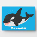 Recherche de baleine plaques Orque