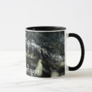 Search for caimans mugs Crocodile