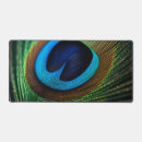 Search for peafowl electronics Peacock feather