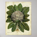 Search for cauliflower posters Kitchen