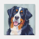Search for bernese mountain magnets Pet