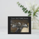 Search for sanctuary postcards Bird