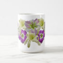 Search for daylily mugs Hemerocallis