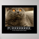 Recherche de paix monde posters Amour