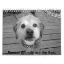 Search for adopted calendars Dogs