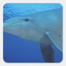 Search for habitat stickers Sea