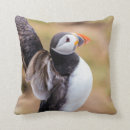 Recherche de macareux coussins Faune