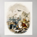 Recherche de bébé phoque posters Mignon