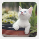 Search for animal images stickers Photography