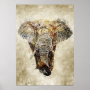 Recherche de vintage animal illustration posters Afrique