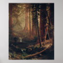 Recherche de albert bierstadt posters Séquoia