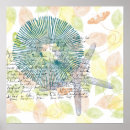 Search for aqua sea posters Fish