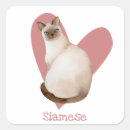 Search for siamese cat stickers Feline