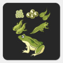 Search for frog teacher stickers Student