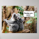Recherche de panda drôle posters Animaux amusants