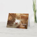 Recherche de orange chat tigré vœux cartes Félin