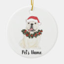 Search for english bulldog ornaments Holly