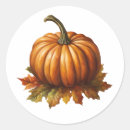 Search for squash stickers Autumn