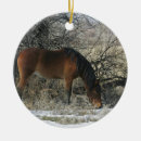 Search for wild one ornaments Horse